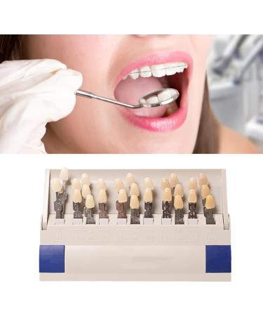 Teeth Shade Guide - 29 Color Whitening Chart for Perfect Smile | Removable Tooth Bleaching Guide - Buy Online on GoSupps.com