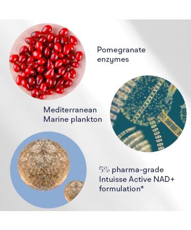 Active NAD+ Eye Serum (5ml + applicator) and Active NAD+ Face Serum (10ml + applicator) - Buy Online on GoSupps.com