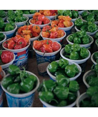 Torchbearer The Rapture Trinidad Scorpion Hot Sauce 142ml - Buy Online on GoSupps.com