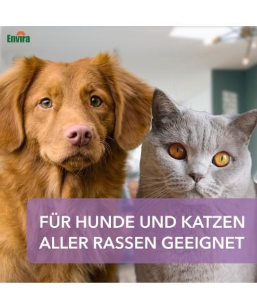 Envira Pet Care Spray for Dogs & Cats - Clean & Maintain Fur Support Wound Healing Relieve Itching - 500ml - Buy Online on GoSupps.com