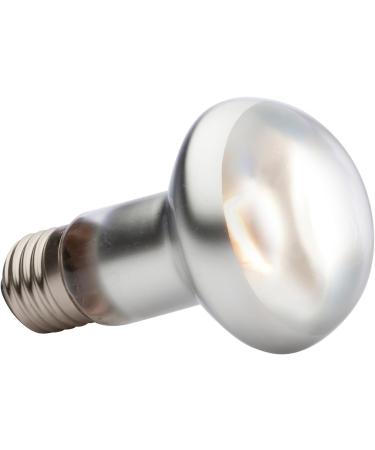 Exo Terra Intense Basking Spot Lamp - 50W R20 Heat Spot Yellow E27 Socket - Ideal for Reptiles & Amphibians - Buy Online on GoSupps.com