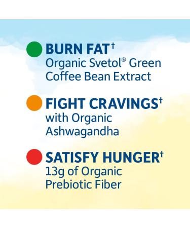 Garden of Life Organic Fit S'mores Protein Bars - 12 Pack, 55g Each | Healthy Weight Loss Snack - Buy Online on GoSupps.com