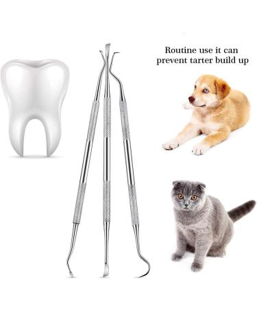 Dog Dental Tooth Scaler and Scraper Stainless Double Headed Tarter Remover Scraper Pet Teeth Cleaning Tools for Dog and Cat (3) - Buy Online on GoSupps.com