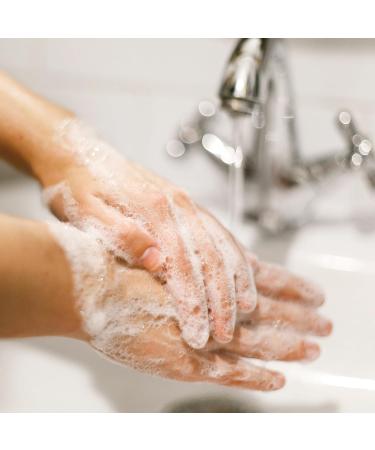 Buy Dial 06028CT Rosemary-Mint Liquid Hand Soap 7.5 oz - 12/Carton | International Shipping Available - Buy Online on GoSupps.com