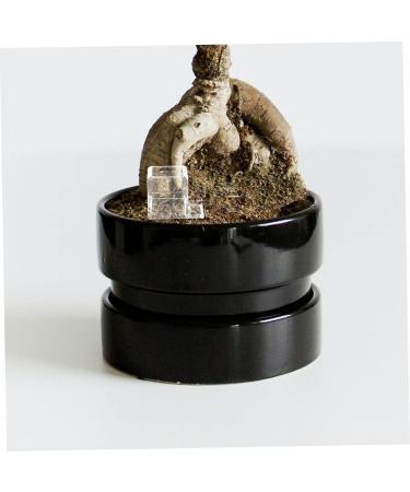 Happyyami Pet Water Feeder Insect Water Feeder Ants Feeding Bowl Insect Feeder Water Bowl for Ants Plastic - Buy Online on GoSupps.com