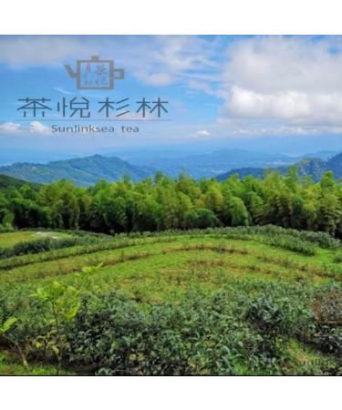 Taiwan unique tea Chin-Shin-Oolong Shanlinxi top honey fragrant imperial concubine tea 150g*4 - Buy Online on GoSupps.com