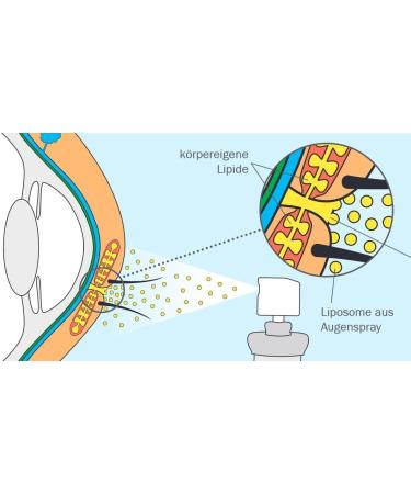 LipoNit Eye Spray Sensitive for improved moisturization of irritated eyes 10 ml 10ml - Buy Online on GoSupps.com