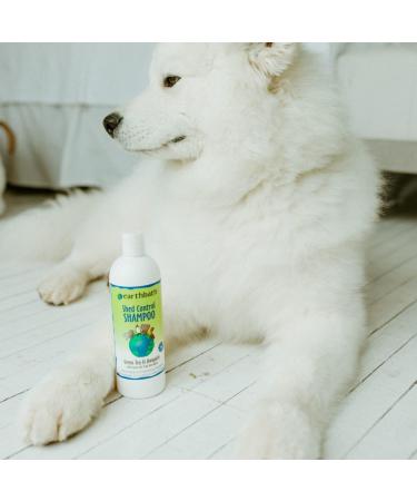 Earthbath All Natural Pet Shampoo - Green Tea & Awapuhi | Eco-Friendly & International Shipping - Buy Online on GoSupps.com