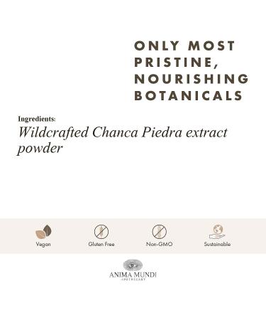 Anima Mundi Chanca Piedra Powder - 4oz - Liver, Gallbladder & Kidney Support - Wildcrafted Stone Breaker Extract - Buy Online on GoSupps.com