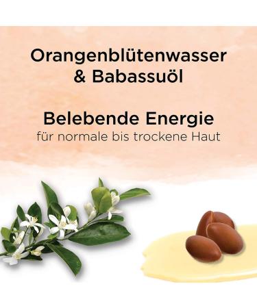 Vandini Energy Hand Cream for Women | Orange Blossom & Babassu Oil | Vegan & Silicone-Free | 6x75ml - Ideal for Normal to Dry Skin - Buy Online on GoSupps.com