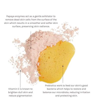 EVOLVE Organic Beauty Enzyme + Vitamin C Cleanser Powder | Vegan Clean Beauty 2.4 oz | Small Batch Natural Skincare - Buy Online on GoSupps.com