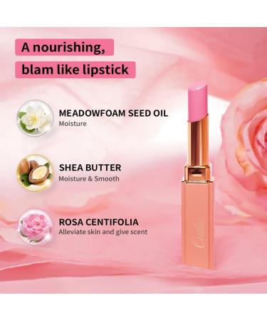 Oulac Warm Pink Lipstick - Moisture Shine Hydrating Lipstick & Tinted Lip Balm | Juicy Glossy Finish Vegan Cruelty-Free - First Love (07) - Buy Online on GoSupps.com