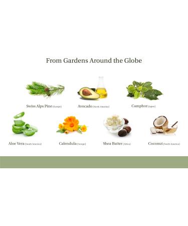 KOALA BOTANICALS Joint & Muscle Therapy 3.38 oz Cream Intensive Concentrate for Joint & Muscle Recovery, Premium Formula Provides Relief for Back, Neck, Hands, Feet, Knees - Buy Online on GoSupps.com