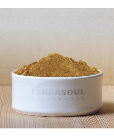 Terrasoul Superfoods Organic Lion's Mane Mushroom Powder - 4:1 Extract, 11 oz - Buy Online on GoSupps.com