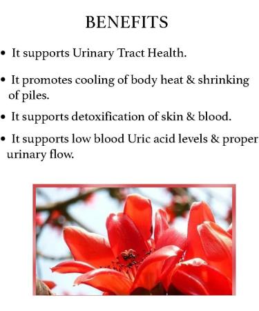 Bixa BOTANICAL Forest Flame Tree Powder | 7 Oz | Herbal Urinary Tract Health Supplement for Men and Women | Relieves Piles, Itching, Burning Discomfort - Buy Online on GoSupps.com