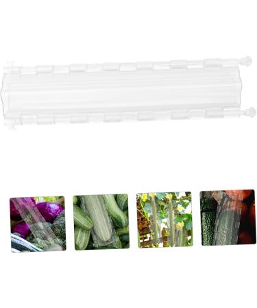 Milisten 3 Pcs Pentagram Mold Fruit Vegetable Growth Shaping Supplies Vegetable Growing Moulds Cucumber Rigid - Buy Online on GoSupps.com