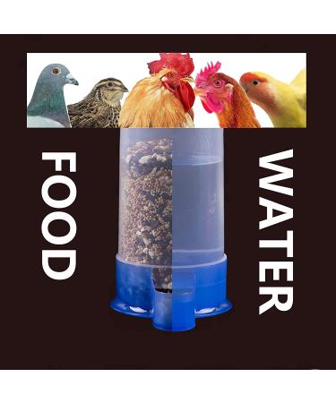2Pcs Automatic Pigeon Feeder & Waterer Set - Bird Cage Accessories for Parakeet, Chicken, Cockatiel, Quail - Buy Online on GoSupps.com