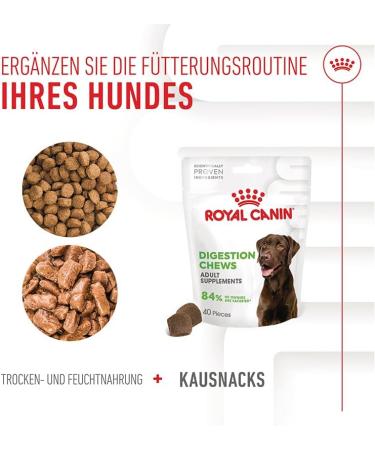 ROYAL CANIN Digestion Chews Adult Supplements | 160 g | Supplementary Feed for Adult Dogs | To Support Digestion & Intestinal Flora | Scientifically Developed - Buy Online on GoSupps.com