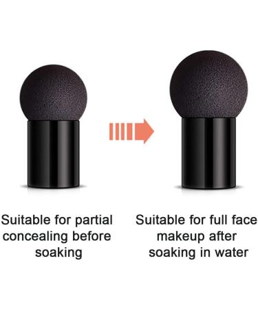 Iw hle Mushroom Head Air Cushion BB Cream | Moisturizing Concealer & Brightening CC Foundation | Even Skin Tone Makeup Base - Best for All Skin Types - Buy Online on GoSupps.com