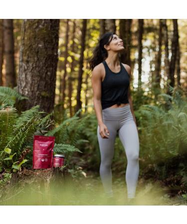 ENERGIZE NOW by EVERSIO WELLNESS - Organic Cordyceps Mushroom Supplement - 8:1 Cordyceps Militaris Extract in 60 Vegan Capsules (500mg) - Cordyceps Mushroom Capsules Made with Organic Extract from Real Mushrooms and NO GRAIN - 32% Verified Beta-D-Glucans! - Buy Online on GoSupps.com