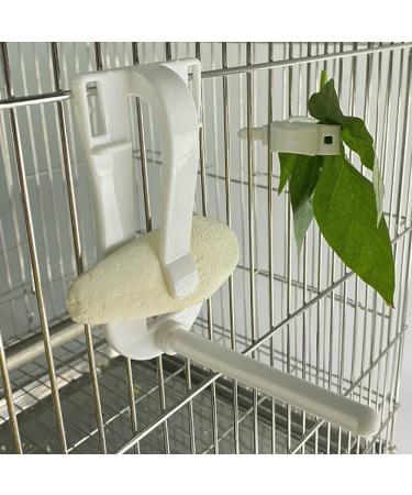 2Pcs Bird Fruit Feeder Cuttlefish Clip Pet Parrot Feeding Dispenser Clip Fruit Vegtable Cuttlefish Bone Clamp for Bird Hamster Cockatiel Parakeet Parrot Pet Critter Cage - Buy Online on GoSupps.com