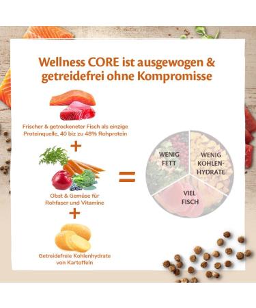 Wellness CORE Sterilised Ocean Cat Food - Grain-Free High Meat Salmon & Tuna 4 kg for Sterilized Cats - Buy Online on GoSupps.com