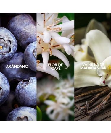 Vibranza Women's Eau de Parfum 3.4 fl oz Gradient Pink-Red Bottle - Buy Online on GoSupps.com