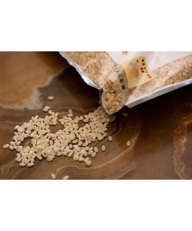 Kinmemai Golden Low Cut Brown Rice - Premium Japanese Rice from Japan | Rinse-Free, Nutrient-Rich, Ideal for Sushi & Onigiri - 2.2lbs - Buy Online on GoSupps.com