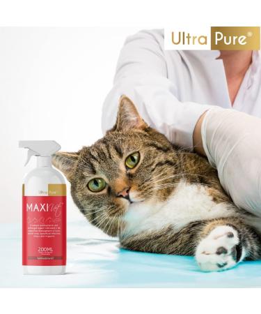 MaxiVet Wound Spray - Antibacterial and Antifungal Solution with Hypochlorous Acid - 200ml - Buy Online on GoSupps.com