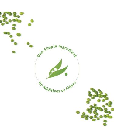 Sprout Living Organic Pea Protein Unflavored - 1 lb | Plant-Based Protein Powder - Buy Online on GoSupps.com