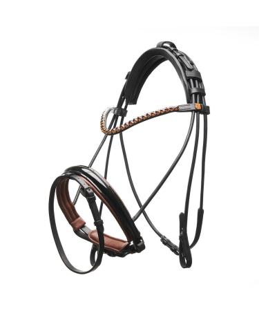 Horse code bridle dream forest warmblood