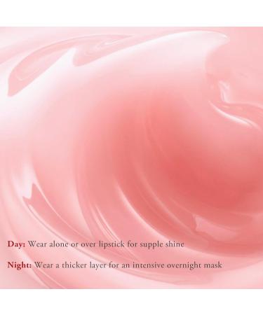 JING MENG Hydrating Lip Sleeping Mask Gloss with Peptides Shea butter for Dry Cracked Lips Ultra-Nourishing Lip Over-night Care Smooths Plumps Softens Strawberry Flavor. 0.7oz - Buy Online on GoSupps.com