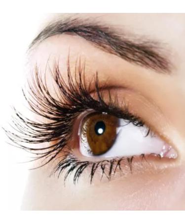 Fake Eyelashes Self Adhesive False Eyelashes Reusable No Glue Eyeliner Needed Natural Fake Eyelashes 1Pair - Buy Online on GoSupps.com