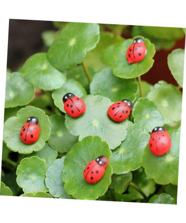 ABOOFAN 900 Pcs Car Decor Car Ornament Car Trim Decor for Car Model Car Decor Toy Decorate Potted Plant Succulent Plants Ladybug - Buy Online on GoSupps.com