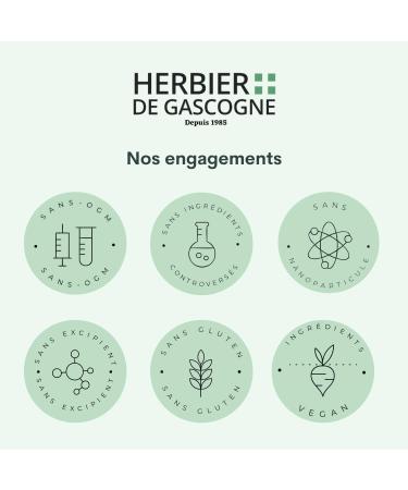 Pack de No l | dition limit e | Th Noir de No l 80g + Tisane de No l 80g + Mug Edition Limit e Offert | L'HERBIER DE GASCOGNE | Herboriste depuis 1985 - Buy Online on GoSupps.com