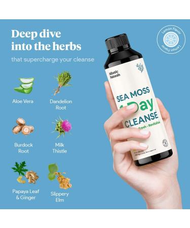 Atlantic Naturals Sea Moss 1 Day Cleanse - Full Body Detox for Kidney, Liver, Gut Health & Immune Support - Buy Online on GoSupps.com