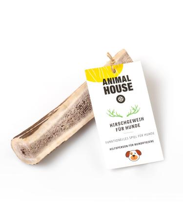 Animal House - shared deer antler for dogs - 100% natural causnack - the oral hygiene - resistant and durable - strengthens in all sizes (s) s 1 piece (1 Pack)