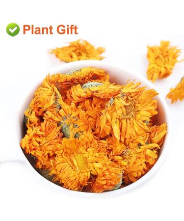 Plant Gift Calendula Tea 35G/1.23oz Herbal Tea (Calendula Officinalis) Marigold Tea Pure Herbal Tea Caffeine-Free No GMOs Chinese Tea 35g-calendula - Buy Online on GoSupps.com