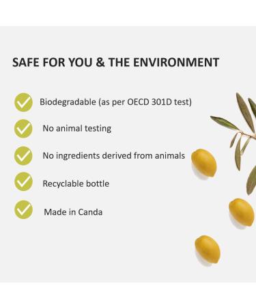 Fruits and Passion Cucina Coriander and Olive Tree 8.4 oz Mini Size Purifying Hand Wash Hand Soap Refill Coriander 8.4 Ounce (Pack of 1) - Buy Online on GoSupps.com