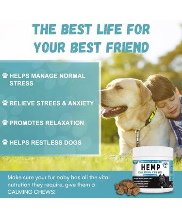 Hemp Dog Calming Treats | Helps with Dog Anxiety Barking Stress Relief Fear Thunderstorm Travel Issues | Natural Dog Calming Product | Hemp Chews Dog Food Anxiety Relief Calming Treats - Buy Online on GoSupps.com