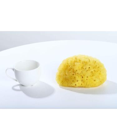 Large Greek Mediterranean Natural Sea Sponge - 5 Inches Plus | Bath Tools for Soft and Smooth Skin - Buy Online on GoSupps.com