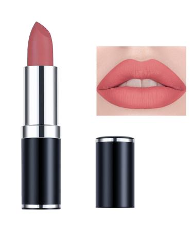 Matte Nude Lipstick Silky Smooth Velvet Lipgloss Nude Lip Gloss Stain Lipstick Matte Lip Makeup Gifts for Women Moisturizer Long Lasting Pigmented Nourshing Non-Stick Cup Lipstick Set(01)