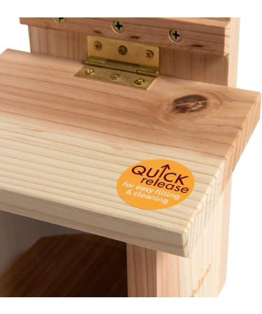 Jacobi Jayne Nutbox Squirrel Feeder - UK Garden Squirrel Feeder with Quick Release Mount - Buy Online on GoSupps.com