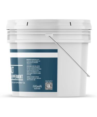 Earthborn Elements Spearmint & Peppermint Epsom Salt Foot Soak - 1 Gallon Minty Aroma - Pure & Refreshing Foot Relief - Buy Online on GoSupps.com