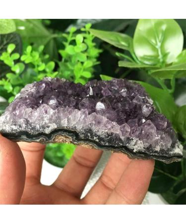 Natural Amethyst Cluster Quartz Crystal geode Specimen Crystal Natural Luster - Buy Online on GoSupps.com