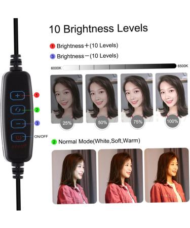 POPETPOP Set Live Filling Light Portable Ring Light Selfie Mirror Light Beauty Filling Clip on Selfie Light Led Camera Phone Selfie Light Led Fill Lamp Beauty Led Light Beauty Lamp Cosmetic - Buy Online on GoSupps.com