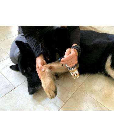 Banixx Pet Care 8oz - Fungal & Bacterial Infection Treatment for Pets - Buy Online on GoSupps.com