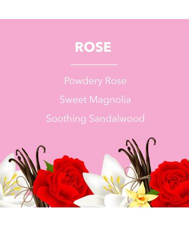 Fabulosa Multi Purpose Multi Surface Odour Removing Disinfectant White Vinegar Cleaning Spray 500ml 9 Pack Rose 1 count (Pack of 9) - Buy Online on GoSupps.com