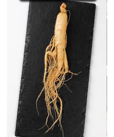 Fresh Ginseng Root Renshen (100g(0.22pounds))
