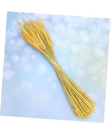 IMIKEYA Rustic Decor 1 Dried Wheat Rural Wheat Natural Wheat Simulation Wheat Dried Flowers Decorative Wheat Ears of Wheat Flower Basket Country Decor Golden 15*42cm - Buy Online on GoSupps.com